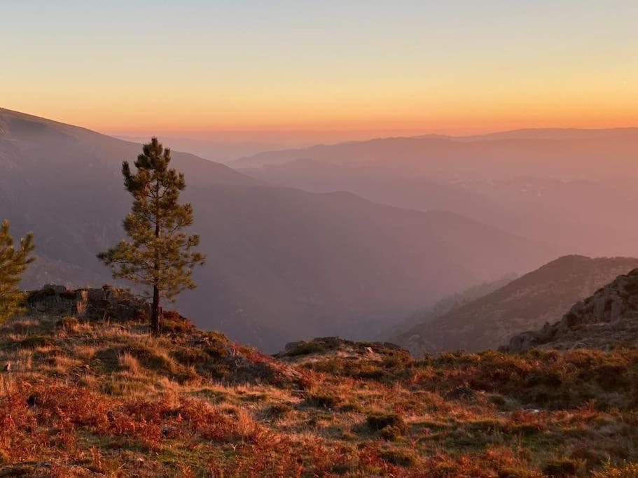 Casa Do Sol - Natureza & Lazer - Serra Da Freita Арока Екстер'єр фото